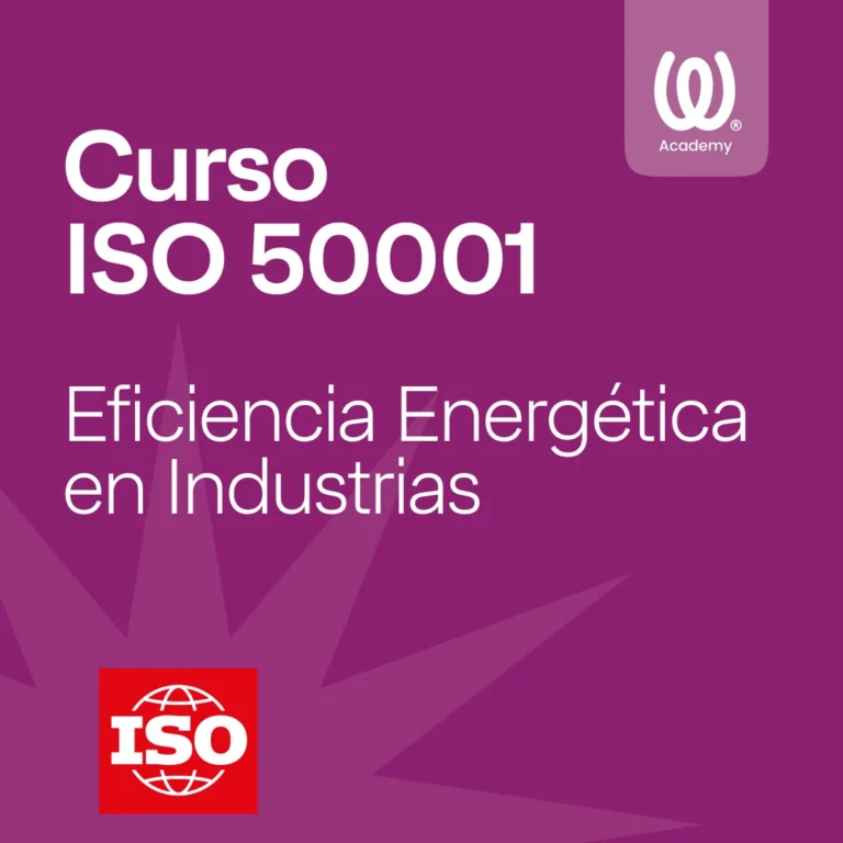 Curso ISO 50001 eficiencia energetica
