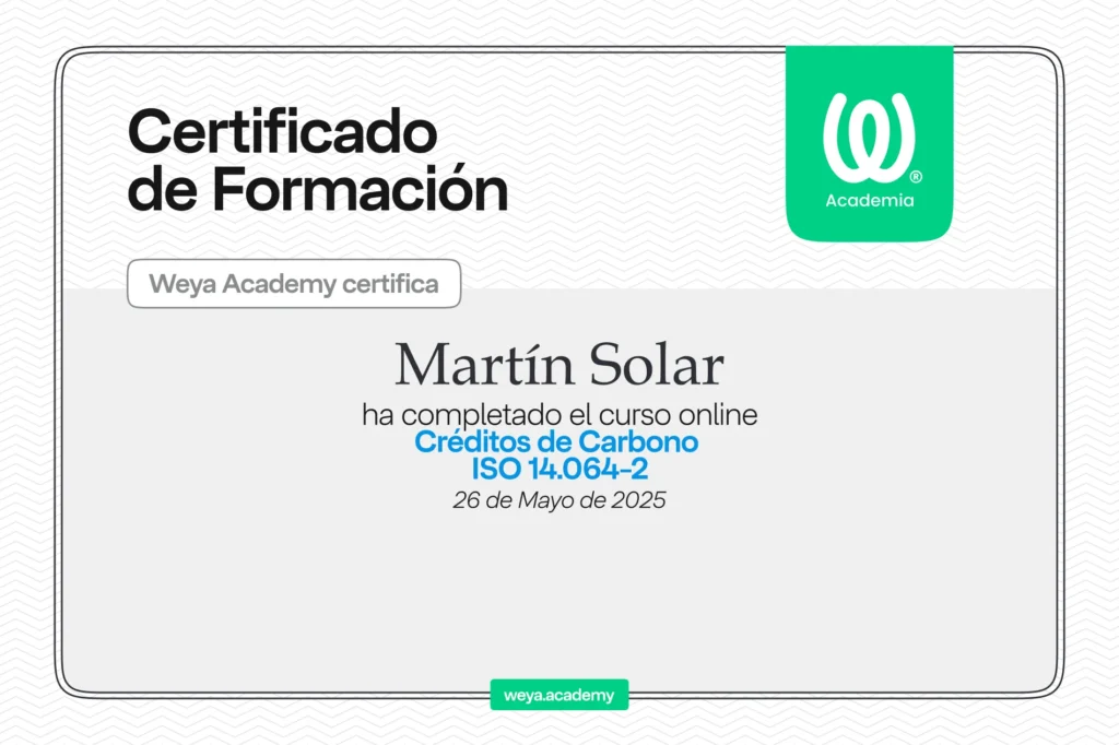 Curso mercados de carbono