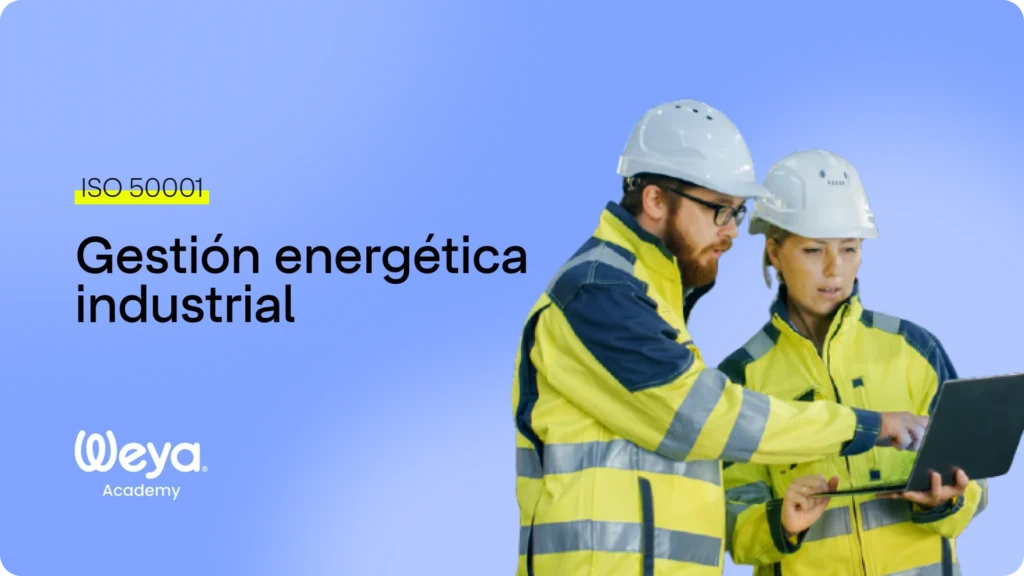 gestion de la energia en las industrias