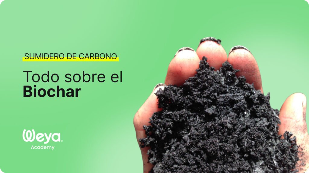 que es el biochar